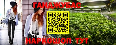 индика Будённовск