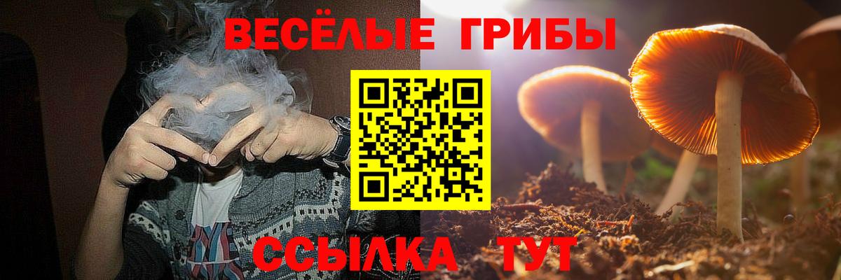 Галлюциногенные грибы мухоморы Петрозаводск