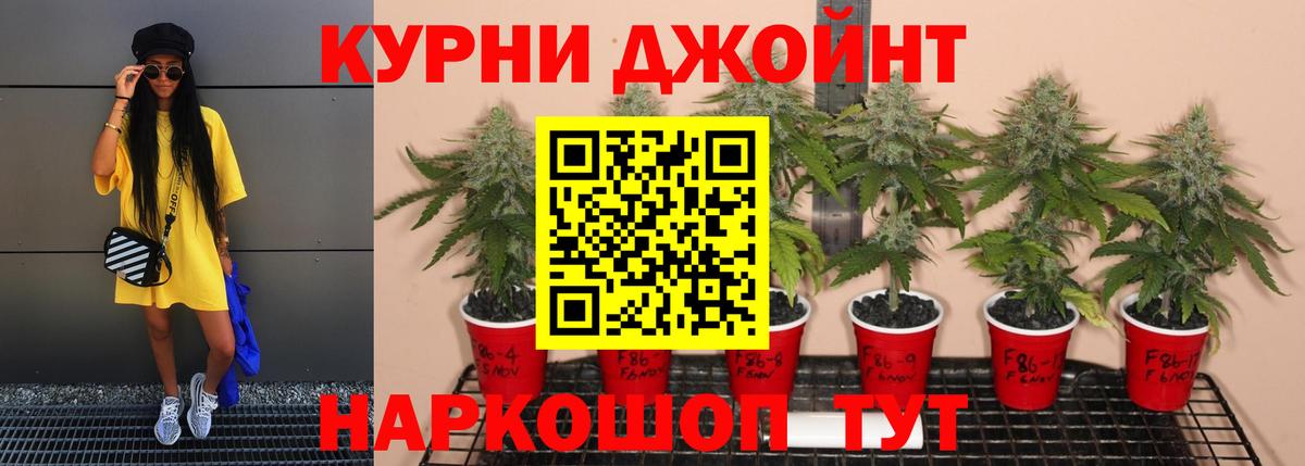Петрозаводск  Марихуана конопля  Вход с VPN  Шишки марихуана VHQ  Шишки марихуана ГИДРОПОН 